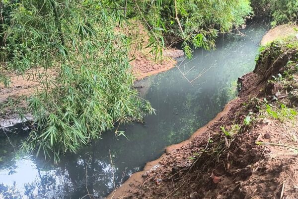 மயிலாடுதுறை:  வாய்க்காலில் கலக்கும் கழிவுநீர்; தீர்வின்றி அல்லாடும் கிராம மக்கள்!