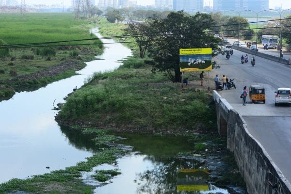 பள்ளிக்கரணை அழிவின் பின்னணி: அலட்சியத்தின் மூன்று முகங்கள் – அரசு விழிக்குமா?| The background to the destruction of Pallikaranai: Three faces of negligence – Will the government wake up?