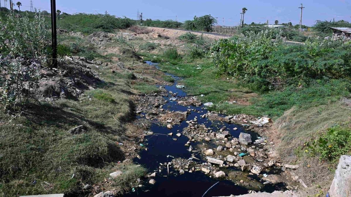 பெருந்துறை SIPCOT-ல் பாதிக்கப்பட்ட பகுதிவாசிகள் பாதுகாப்பான குடிநீரை நாடுகின்றனர்